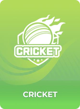 92Game Cricket game banner
